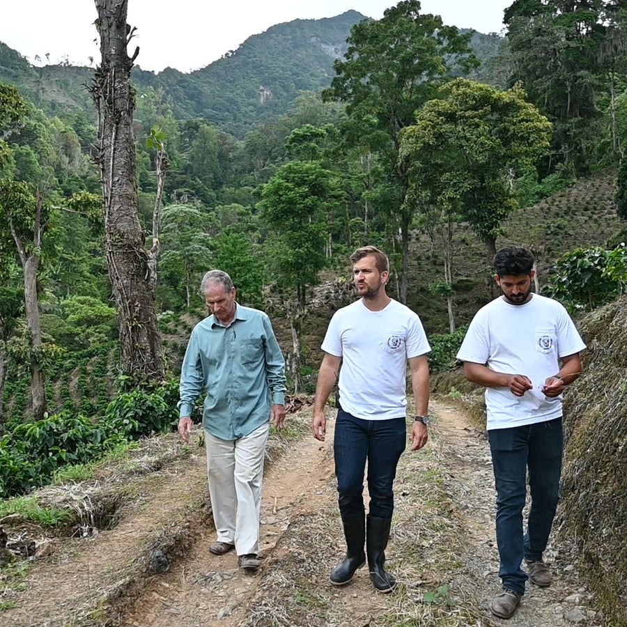 Finca La Dalia, Nicaragua