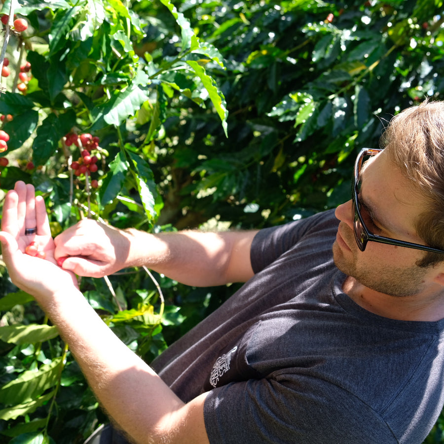 Finca Greenwell, Kona Hawaii